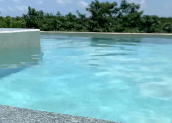 With Swimming Pool At 12 M Height Over Jungle *