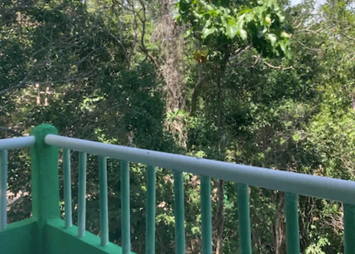 With Swimming Pool At 12 M Height Over Jungle Apartamento Chemuyil