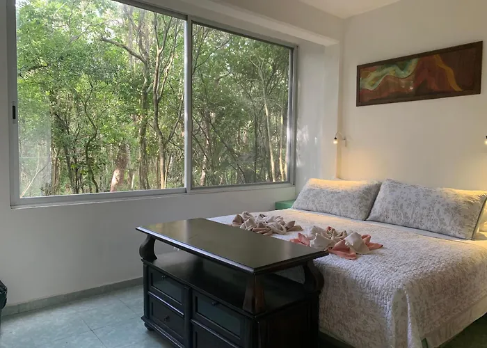 Apartamento With Swimming Pool At 12 M Height Over Jungle Chemuyil