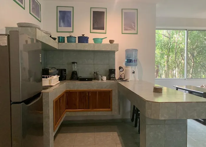 Apartamento With Swimming Pool At 12 M Height Over Jungle