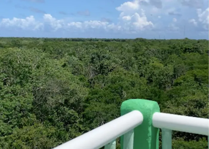 With Swimming Pool At 12 M Height Over Jungle Apartamento