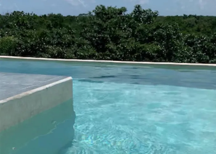 With Swimming Pool At 12 M Height Over Jungle *