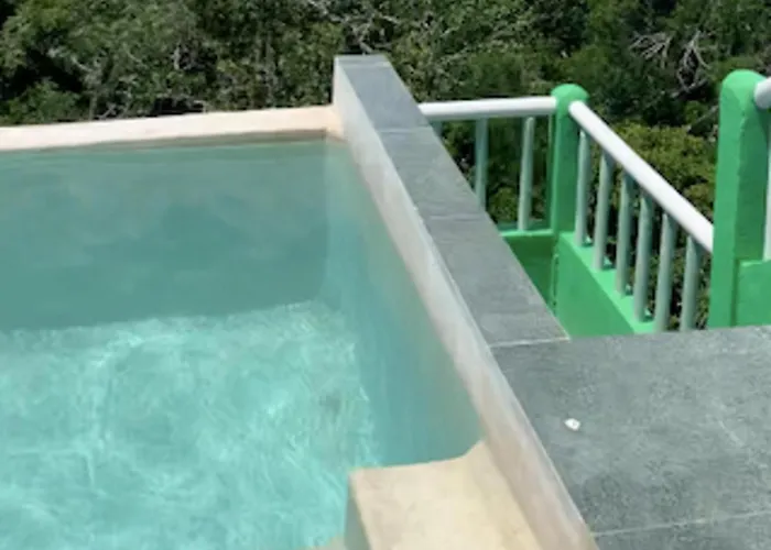 Apartamento With Swimming Pool At 12 M Height Over Jungle