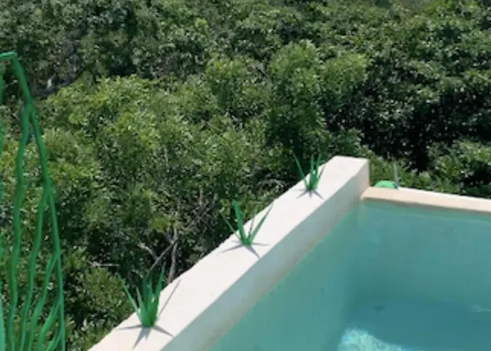 With Swimming Pool At 12 M Height Over Jungle *